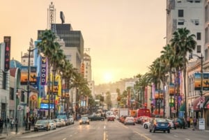 Moving to San Jose from Out of State: A Complete Guide